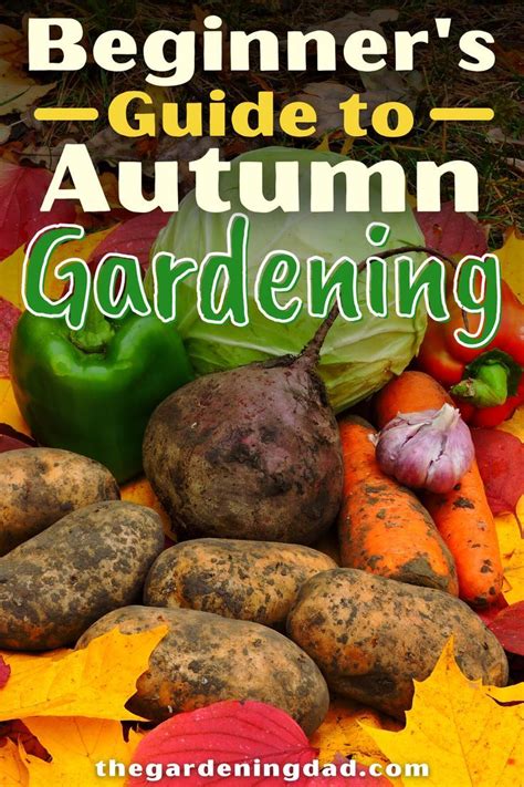 Beginners Guide To Autumn Gardening Garden Gadgets Autumn Garden