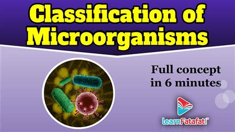 Class 8 Science Chapter 2 Microorganisms Friend And Foe