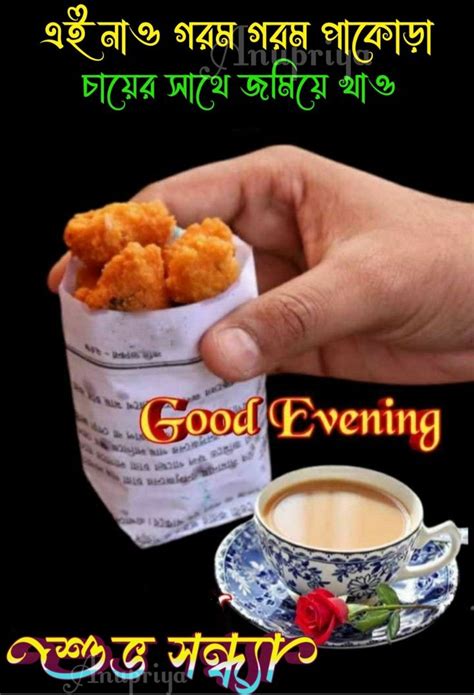 Pin By Anupriya Ghosh On Good Evening Good Evening Greetings Good