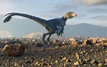 Los 5 descubrimientos de dinosaurios más importantes del 2021 ...