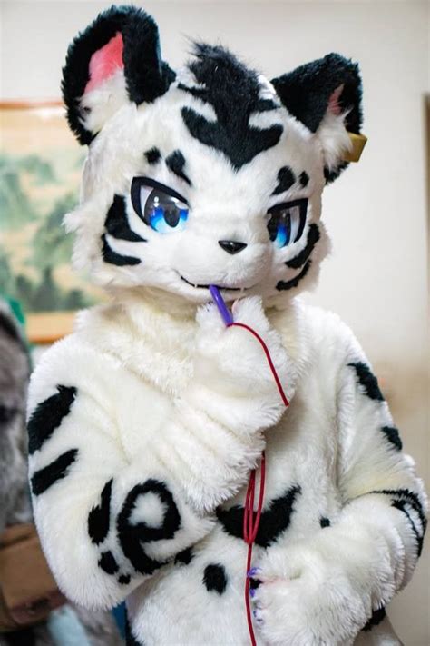 Pin By Roimu On Kemono Fursuit Furry Fursuit Animal Pictures