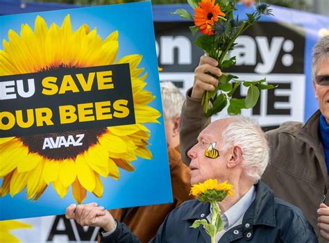 Eu Votes To Ban Bee Harming Pesticides The Independent Independent