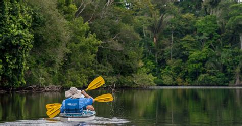 Kayaking In The Amazon Amazon Rainforest In Ecuador