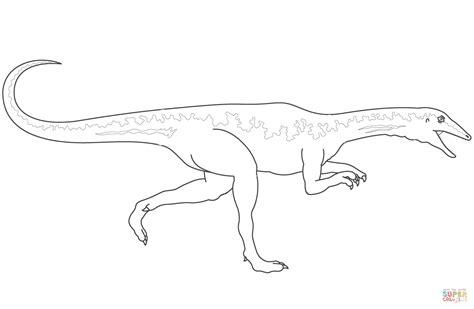 Dinosaur Velociraptor Coloring Page Free Printable Coloring Pages