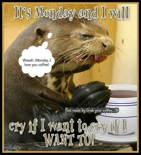 Its Monday And Ill Cry If I Want To Cry If I Want To Funny