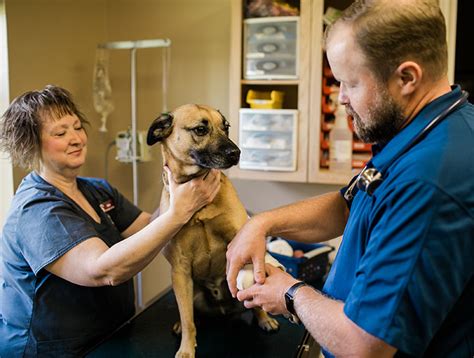 College Station Veterinary Services College Station Veterinary Care