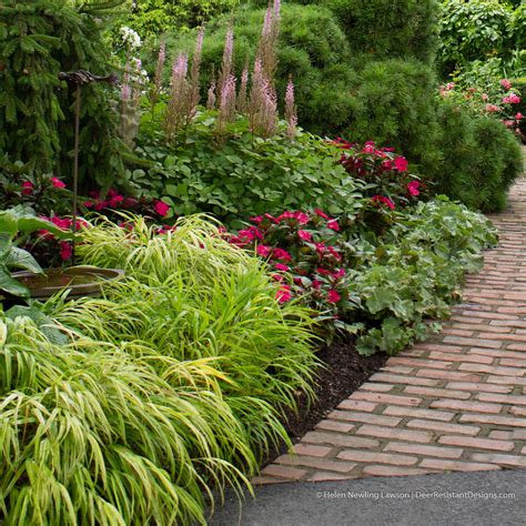 Perennial Favorites For Deer Resistant Gardens