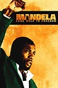 Mandela: Long Walk to Freedom (2013) | The Poster Database (TPDb)