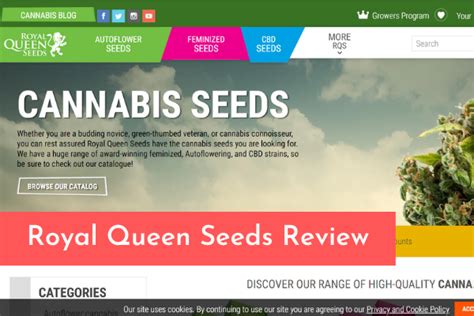 royal queen seeds review 2021 [august updated]