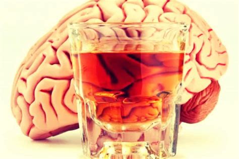 Efectos Del Alcohol En El Cerebro Pikolapi