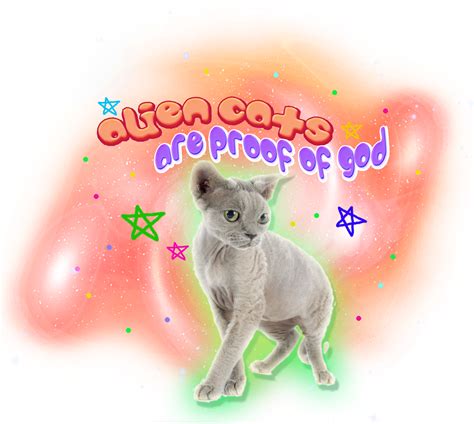 Alien Cats Are Proof Of God Kirkenet