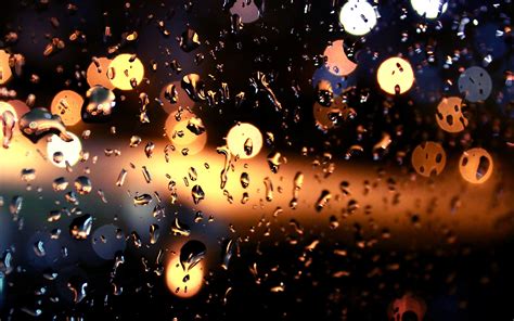 Download Photography Raindrops Hd Wallpaper