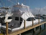 Pictures of Port Aransas Party Boats