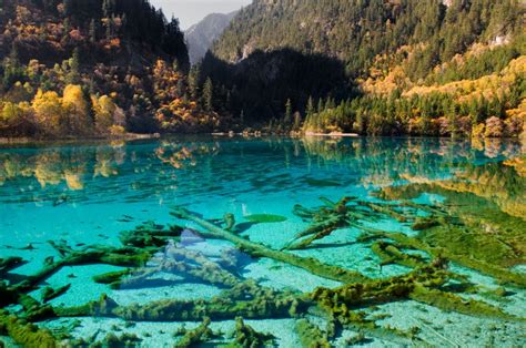 Amazing Five Flower Lake Northern Sichuan China