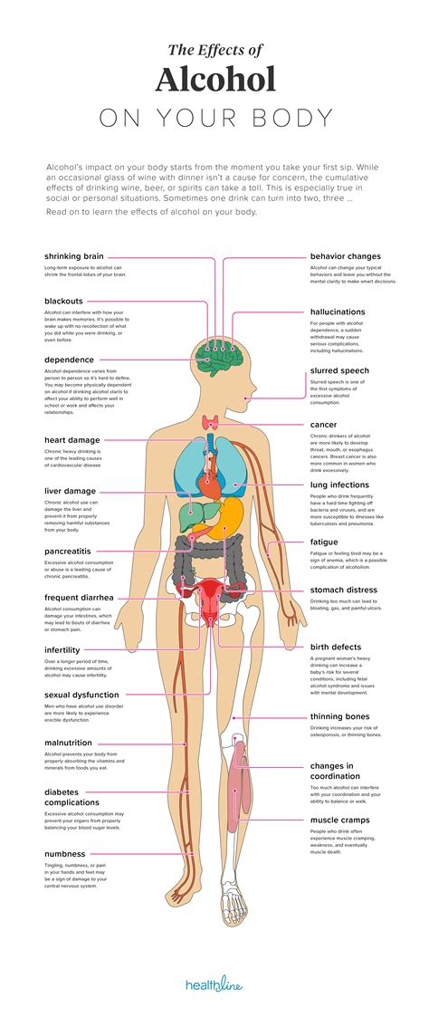 Alcohol And Your Body Drink Awareness Poster Laminated