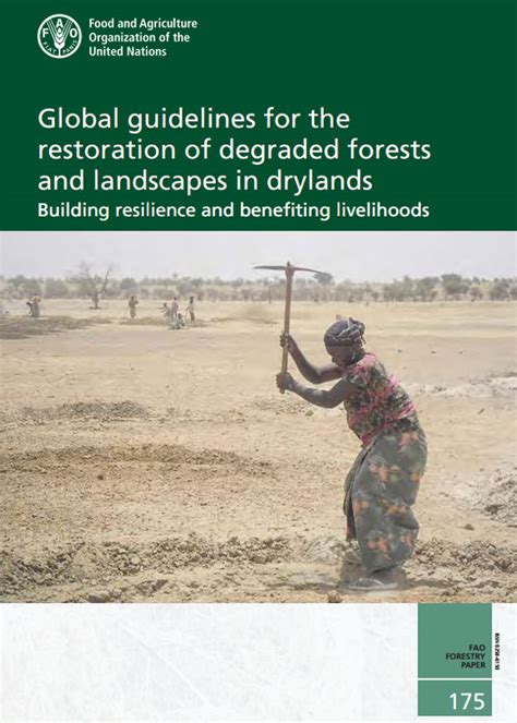 Global Guidelines For The Restoration Of Degraded Forests And