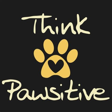 Think Pawsitive T Shirt Cool Vibe