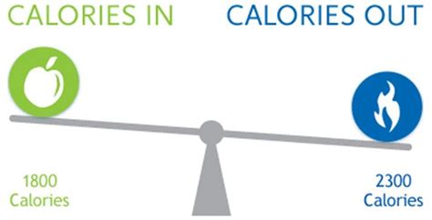 Calories in Calories out! The Lie you have been told for too long ...