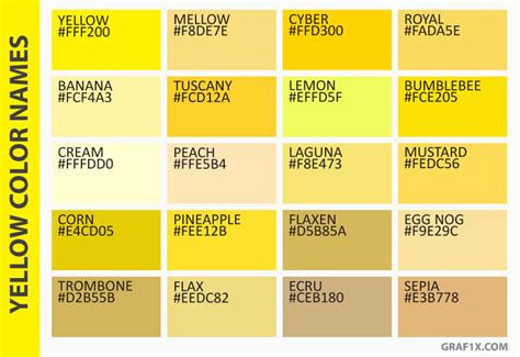How To Choose A Color Scheme For Your Divi Website Shiftweb