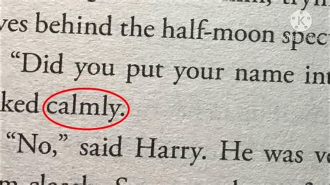 Harry Potter Did You Put Your Name In Goblet Of Firedumbledore