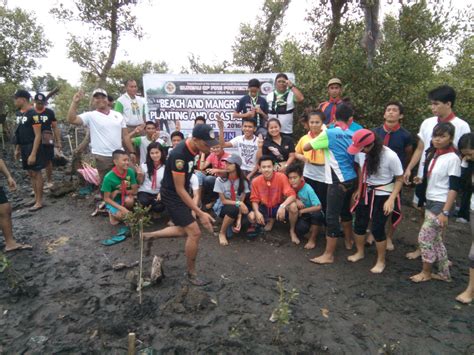 Forest Tree Planting World Scouting