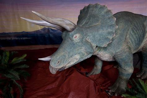 The Name Triceratops Means ‘three Horned Face In Greek The First