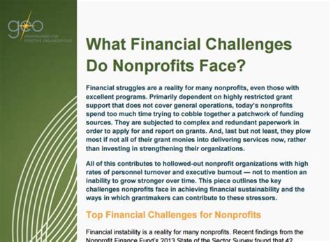 What Financial Challenges Do Nonprofits Face • Grantmakers For