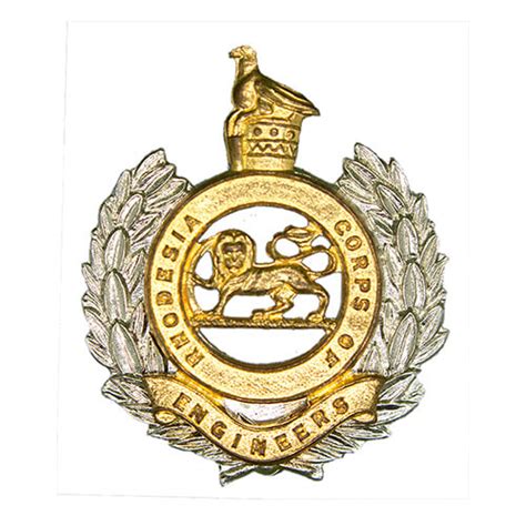 Original Rhodesian Army Badges And Insignia Rpj Militaria