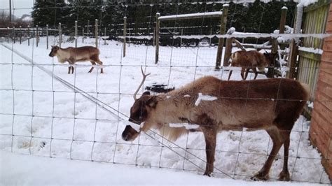 Exmoor Zoological Park Visit South Molton