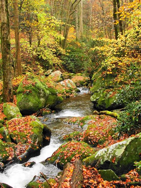 Autumn Stream Tennessee Autumn Landscape Beautiful Places Great