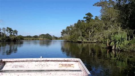 Louisiana Airboat Swamp Bayou Tour Youtube