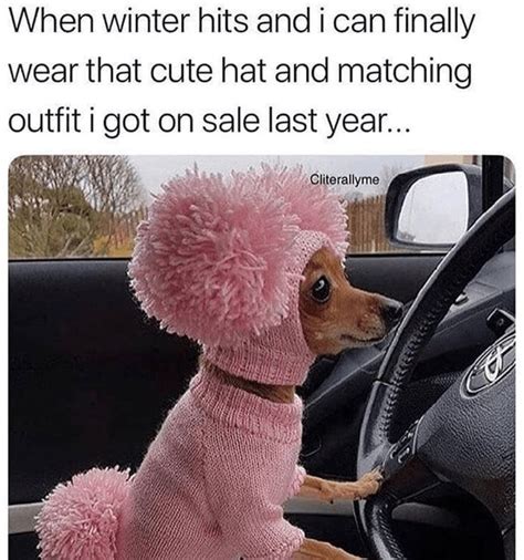 Pink Dog Toy Meme For Sale Deloise Ketchum