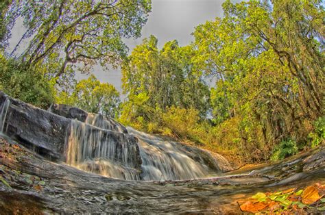 Free Images Landscape Tree Nature Forest Waterfall Wilderness