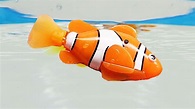 Robo Fish Robotic Clown Fish like Nemo ZURU Robofish - YouTube