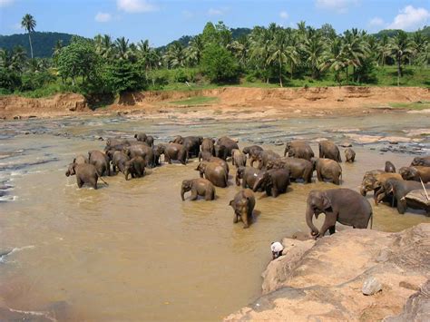 The Source For Picture Sri Lanka Tourist Places