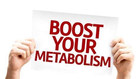 How To Repair A Damaged Metabolism Youtube