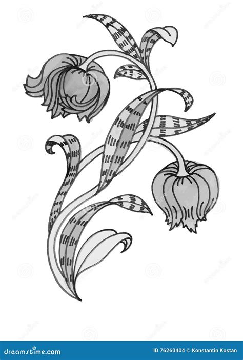 Beautiful Hand Drawn Monochrome Flower Illustration Stock Vector