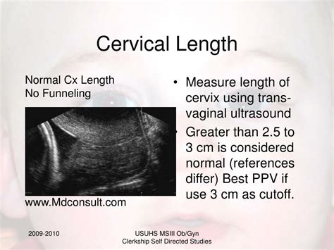 Cervix Length During Pregnancy Chart In Mm