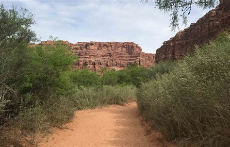 Hiking The Havasupai Trail What You Need To Know Opt Outdoor