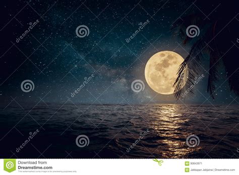 Playa Tropical De La Fantasía Hermosa Con La Estrella Y La Luna Llena