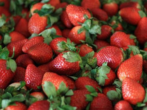 How To Freeze Strawberries Freezing Fresh Or Whole