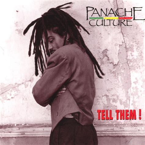 I Dont Like Reggae I Love It Song And Lyrics By Panache Culture