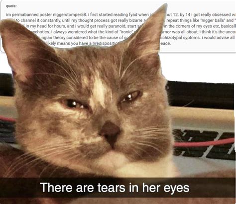 What Made This Cat Cry The Something Awful Forums
