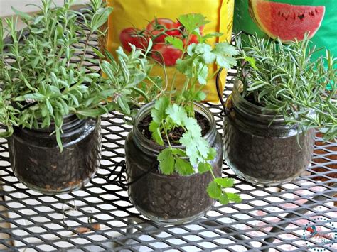 Diy Indoor Hanging Herb Garden Tutorial Quick And Simple