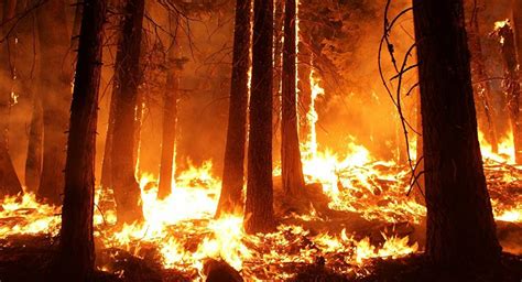 This song comes from our summer 2019 release summoning the. Un incendio forestal destruye la ciudad de Paradise en California - Sputnik Mundo