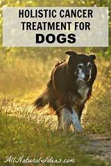 Pictures of Dog Cancer Holistic Treatment