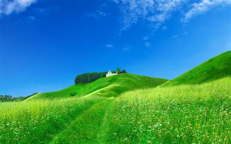 Wallpaper Field Chapel Structure Green Summer Grass Brightly Meadow Flowers X