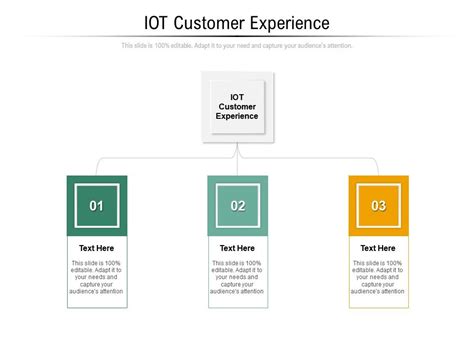 Iot Customer Experience Ppt Powerpoint Presentation Infographics