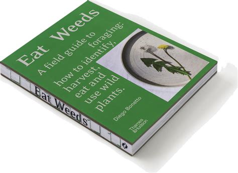 Eat Weeds A Field Guide To Foraging — Wild Plants Foraging Food Art