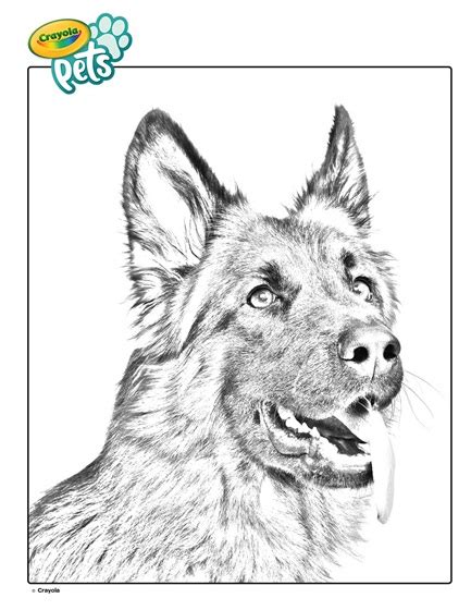 Our german shepherd coloring pages can help you dream. German Shepherd Pet Dog Coloring Page | crayola.com